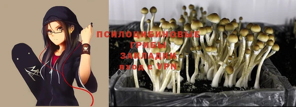 героин Алексин