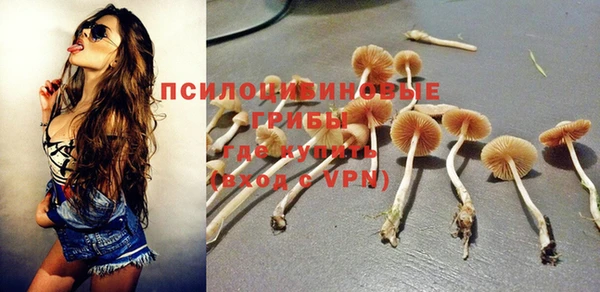 героин Алексин
