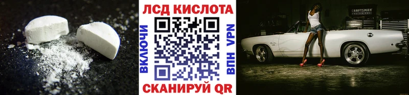 блэк спрут как войти  Волхов  Лсд 25 экстази ecstasy  дарнет шоп 