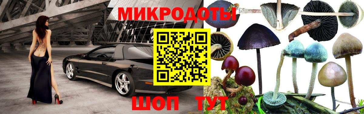 Волхов  Галлюциногенные грибы Cubensis  Вход с VPN 