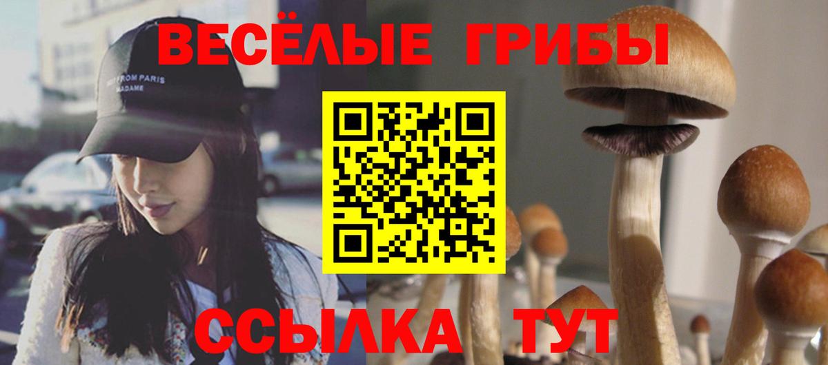 Галлюциногенные грибы Cubensis Волхов